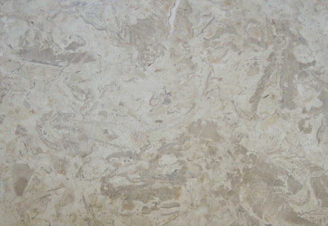 Crema Marfil Marble Brown Touch