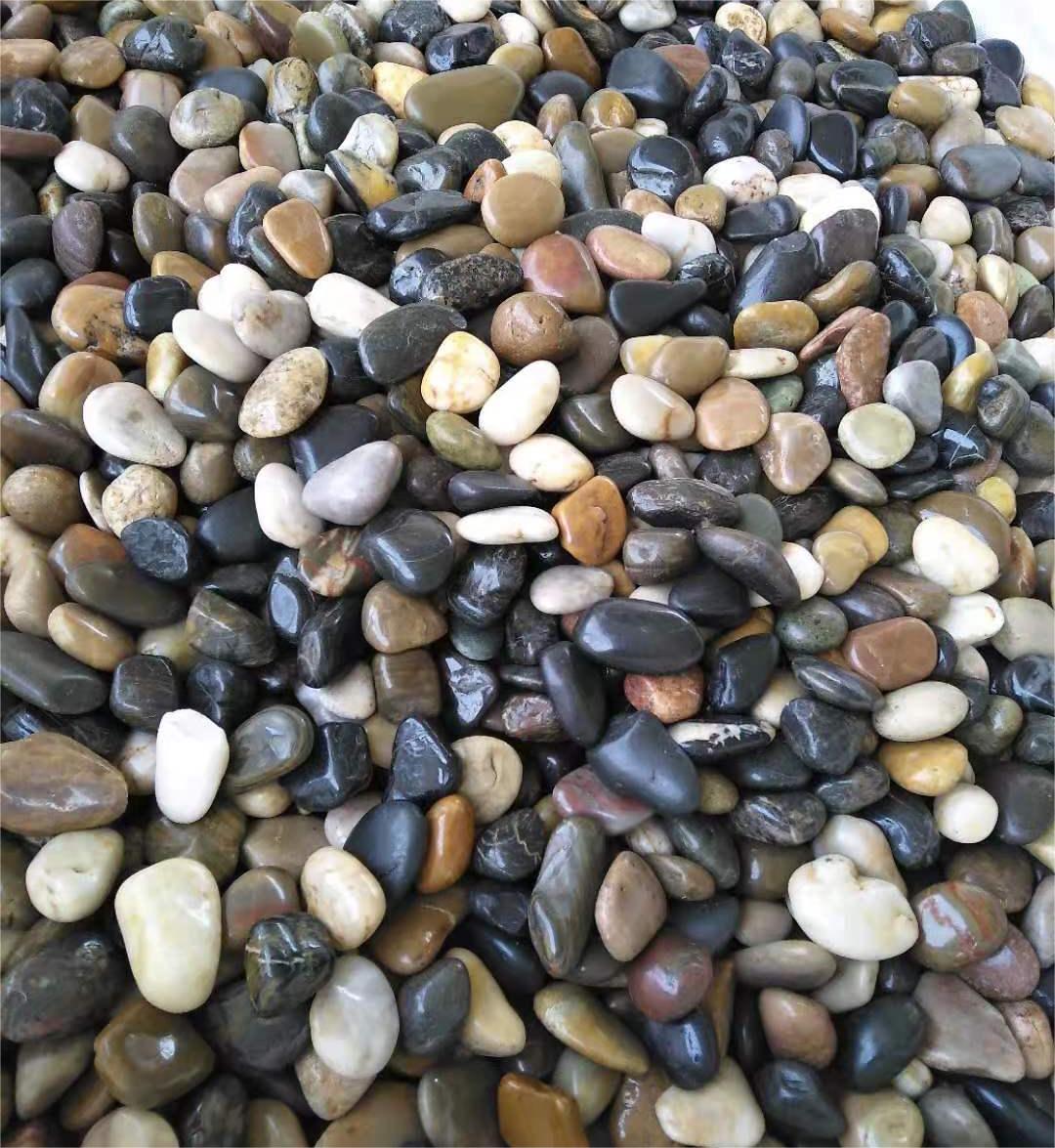 Mixed natural pebble stone