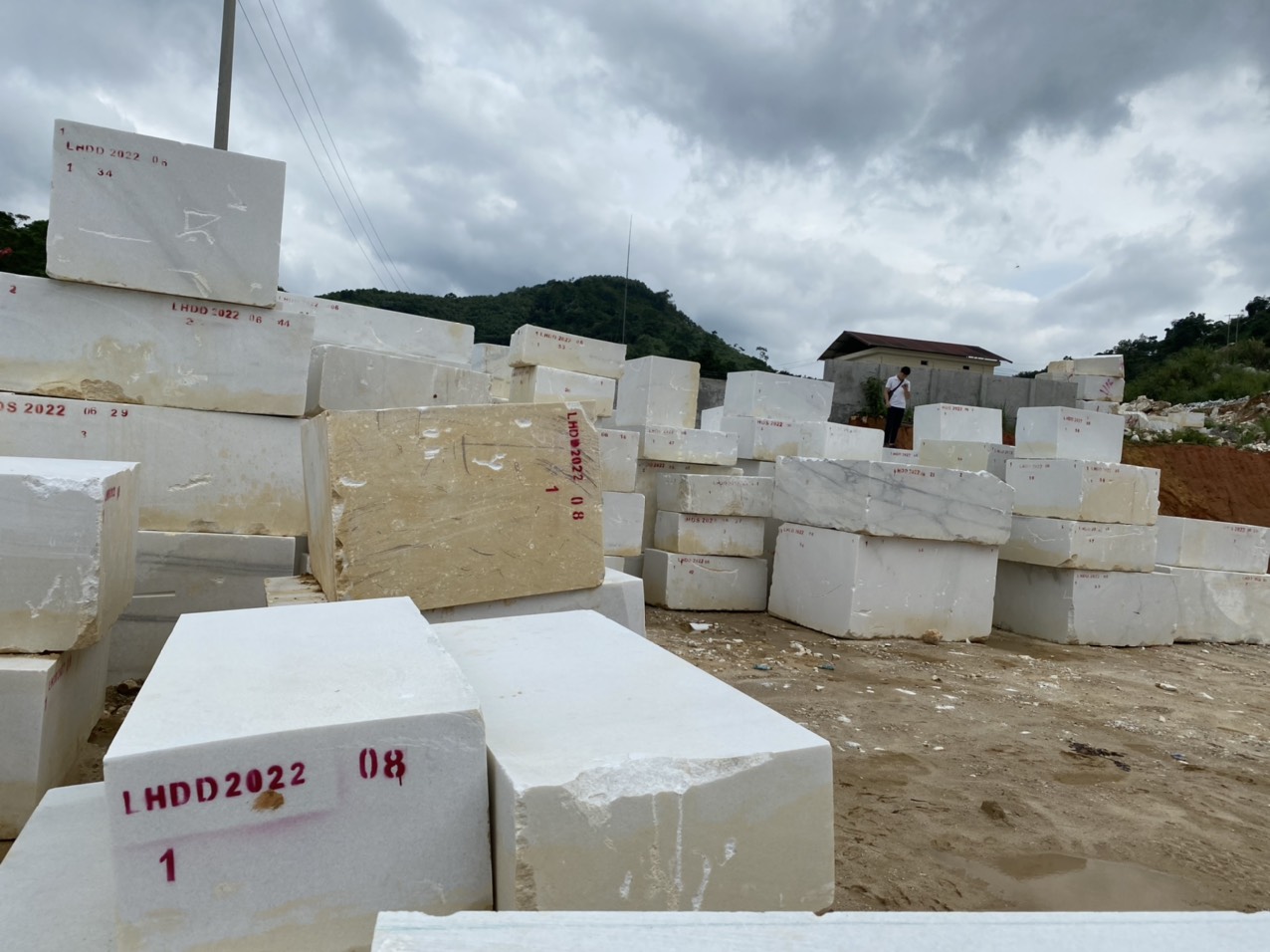 Vietnam White Marble Blocks From Our Own Quarry