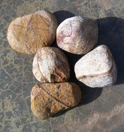 brown pebbles
