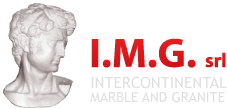 IMG Srl